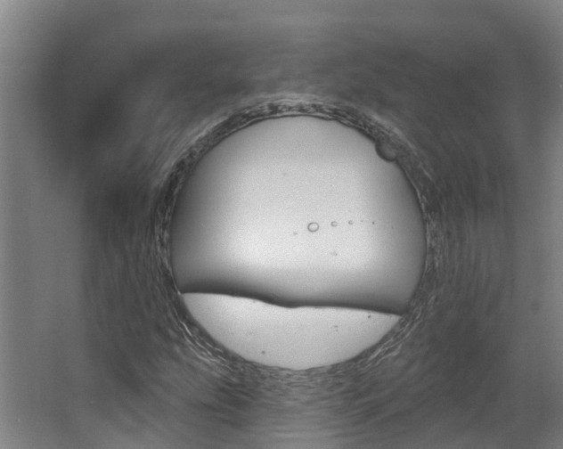 X0000063531207200601201142