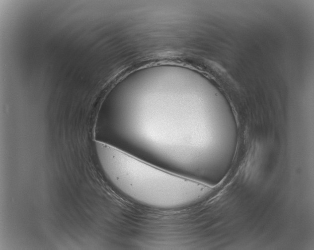 X0000063531209200601201142