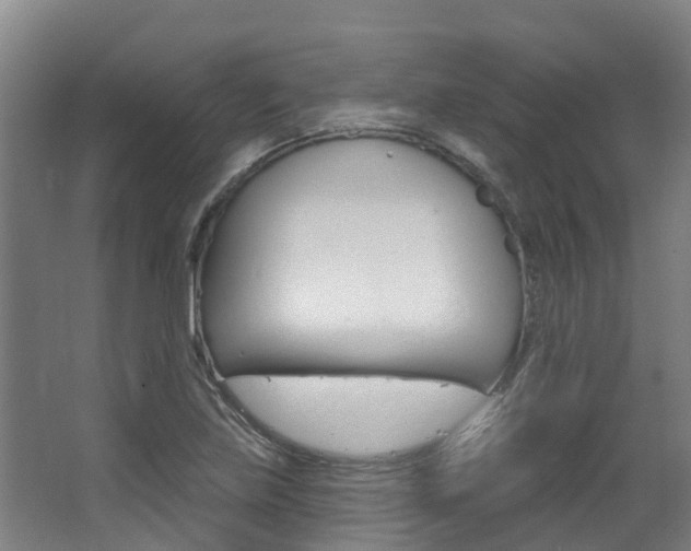 X0000063531219200601201143