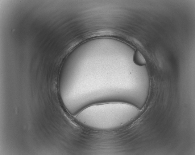 X0000063531225200601201143