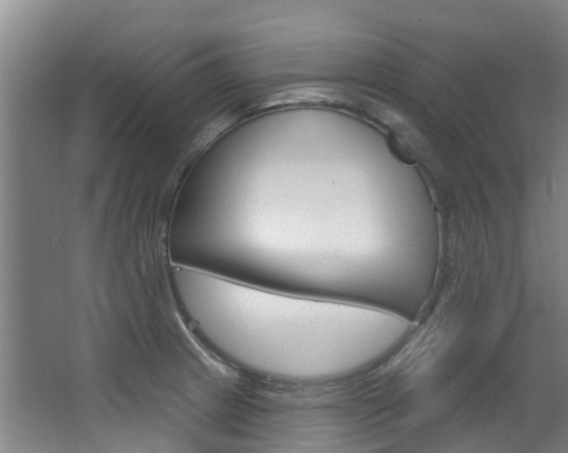 X0000063531233200601201143