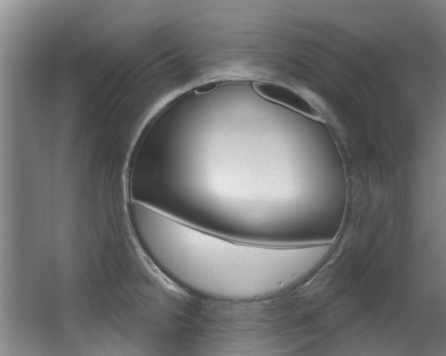 X0000063531238200601201143