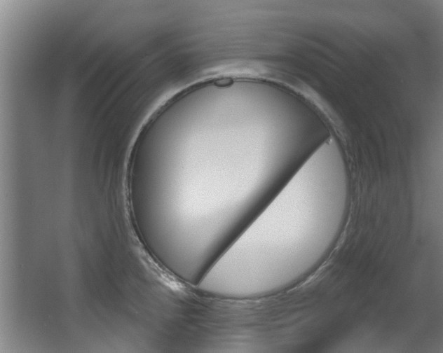 X0000063531240200601201143