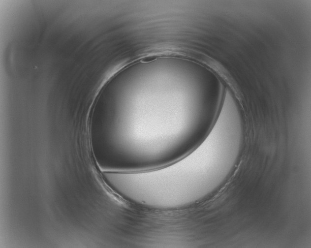 X0000063531242200601201143