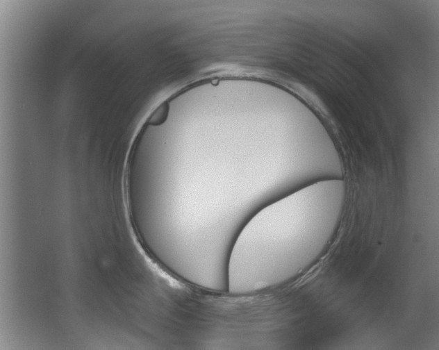 X0000063531247200601201143