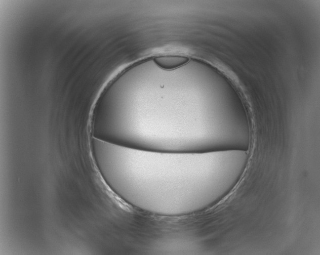 X0000063531248200601201143