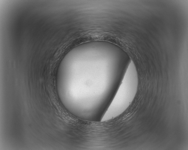 X0000063531249200601201142