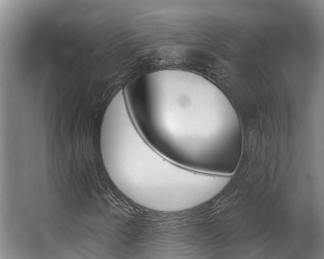 X0000063531250200601201142