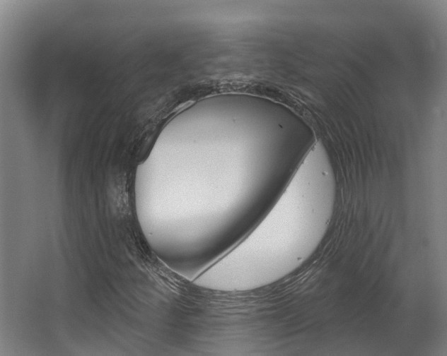 X0000063531252200601201142
