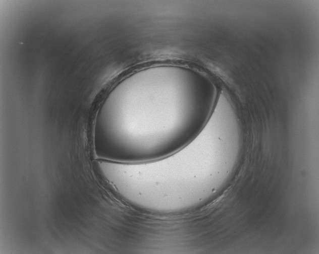 X0000063531261200601201142