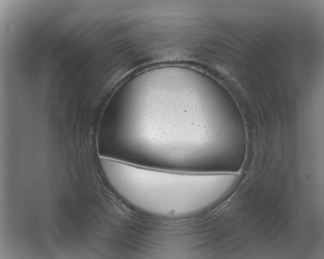 X0000063531265200601201142