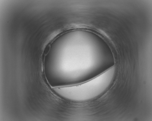 X0000063531269200601201142