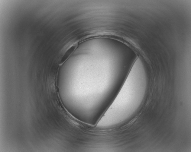 X0000063531273200601201142