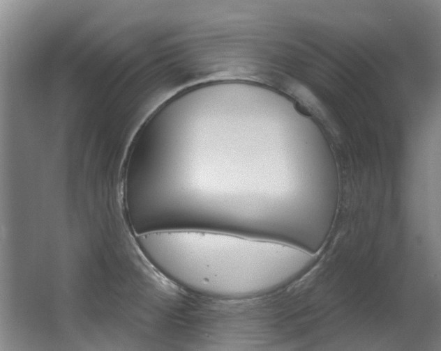 X0000063531284200601201142