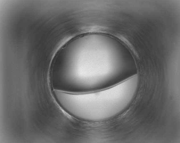 X0000063531285200601201142