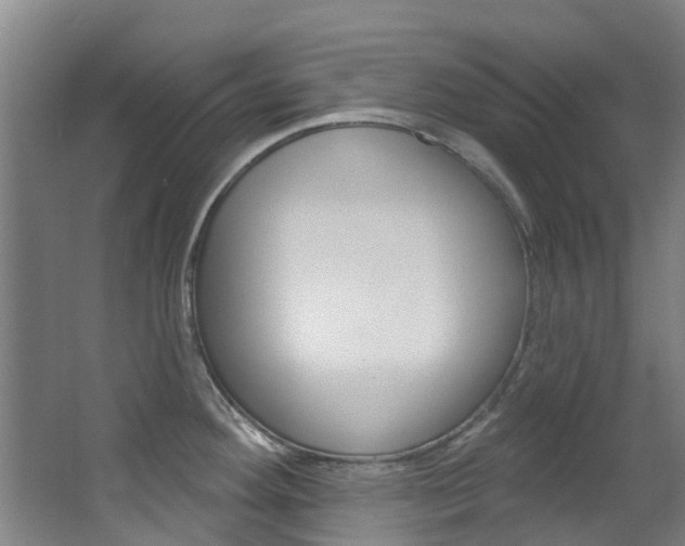 X0000063531292200601201142