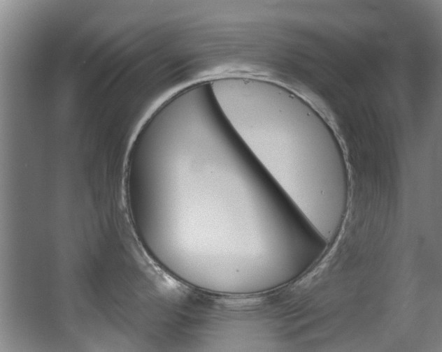 X0000063531296200601201142