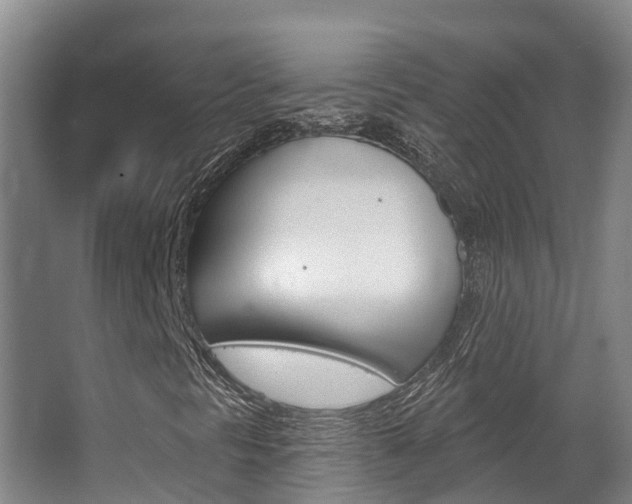 X0000063531297200601201141