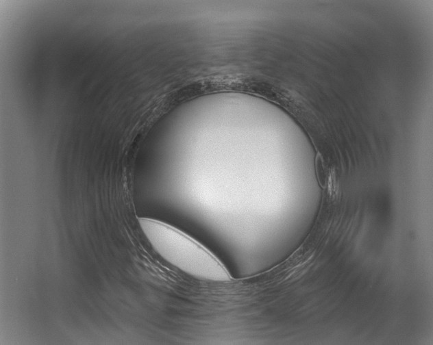 X0000063531299200601201141