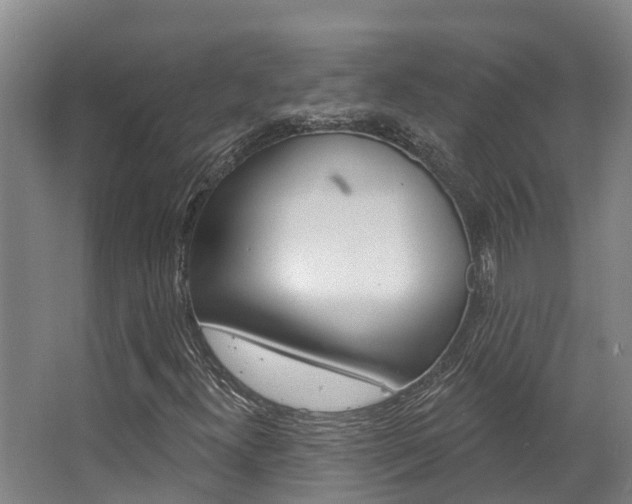 X0000063531300200601201141