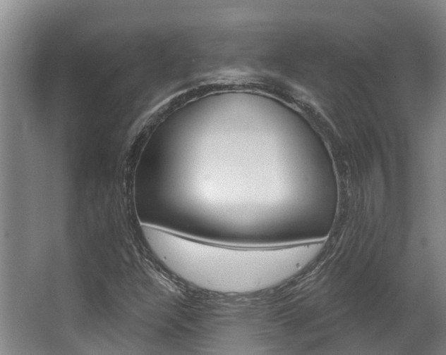 X0000063531304200601201141