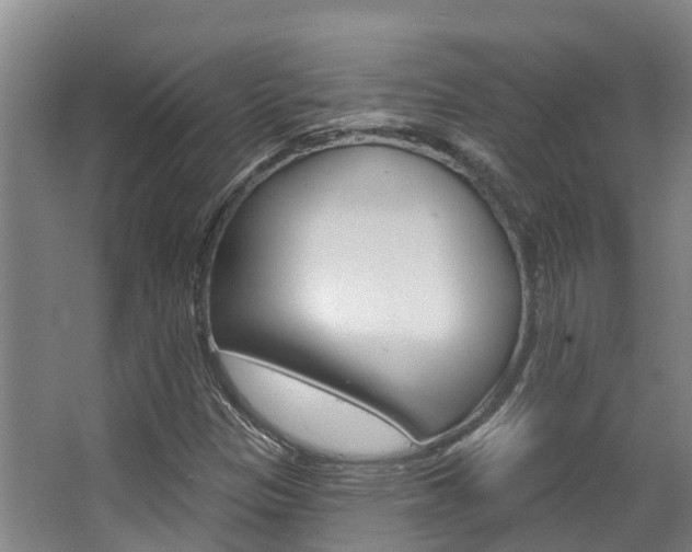 X0000063531305200601201141