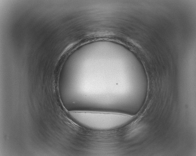 X0000063531306200601201141