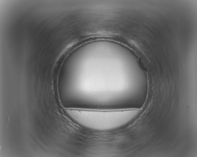X0000063531307200601201141