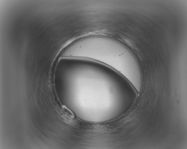 X0000063531308200601201141