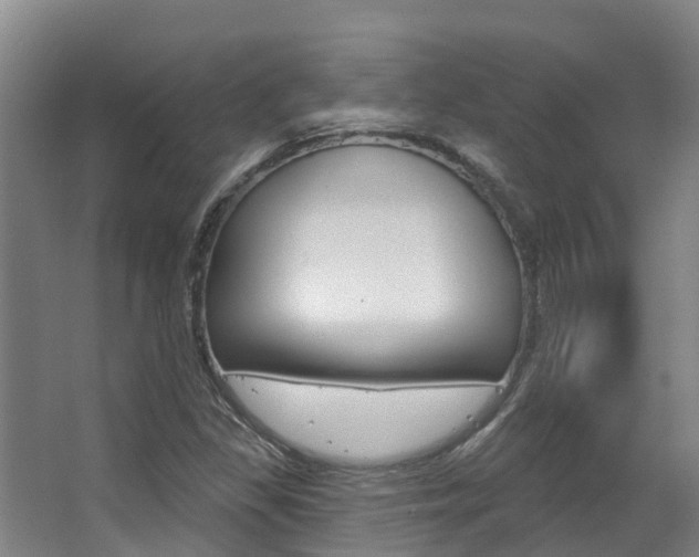 X0000063531309200601201141