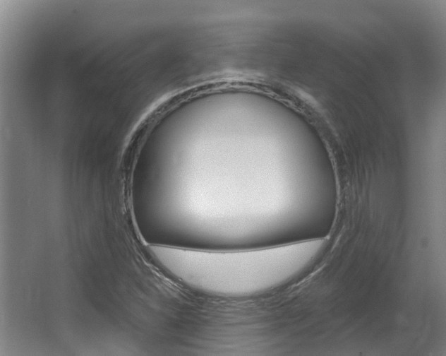 X0000063531310200601201141