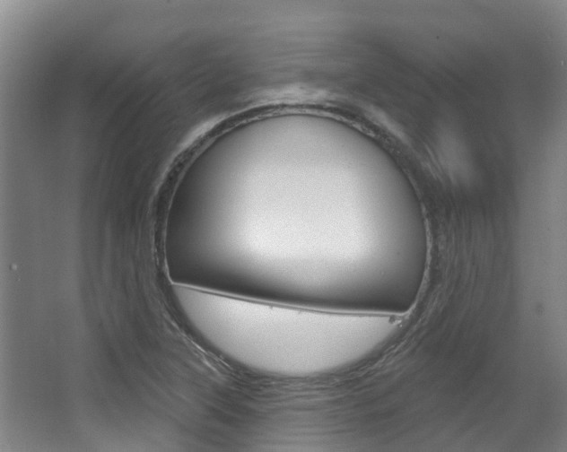 X0000063531315200601201141