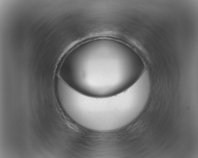 X0000063531316200601201141