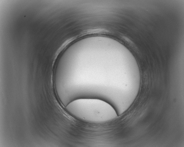 X0000063531322200601201141