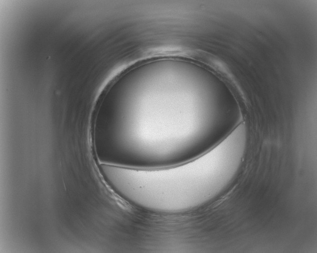 X0000063531328200601201141