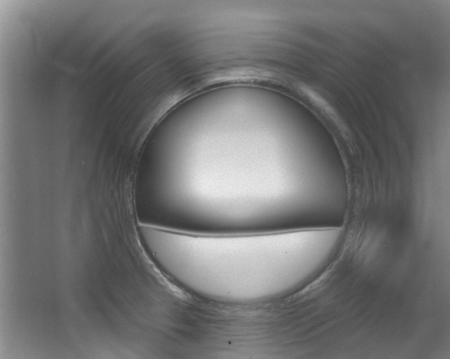 X0000063531329200601201141