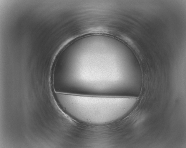 X0000063531331200601201141