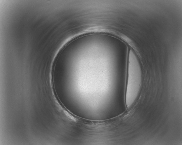 X0000063531334200601201141