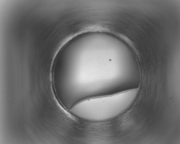 X0000063531335200601201141