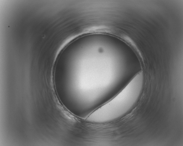 X0000063531336200601201141