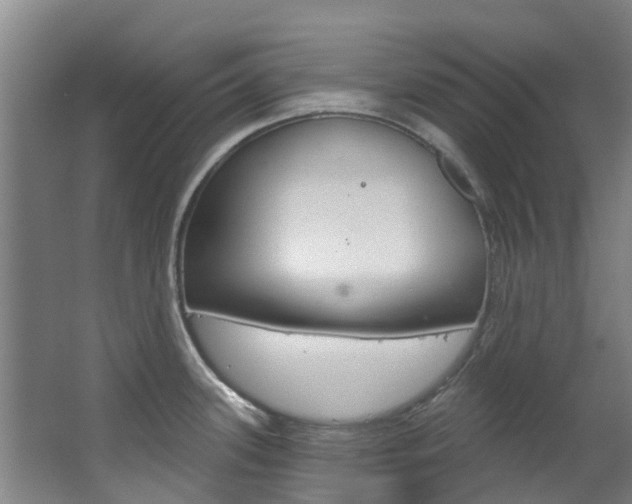 X0000063531339200601201141