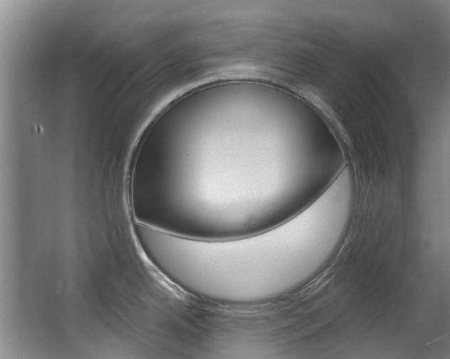 X0000063531342200601201141