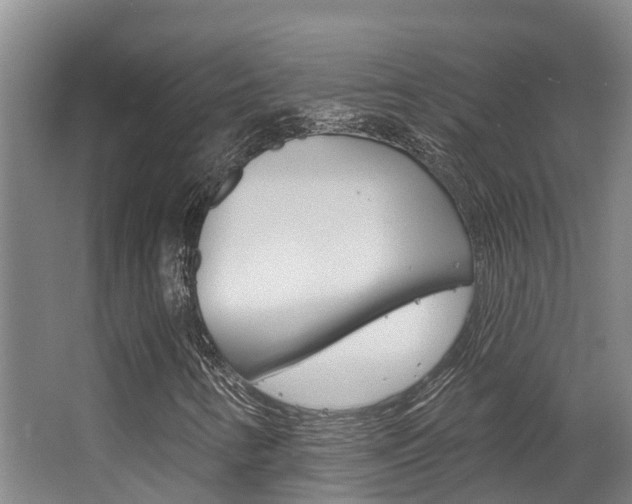 X0000063531346200601201141
