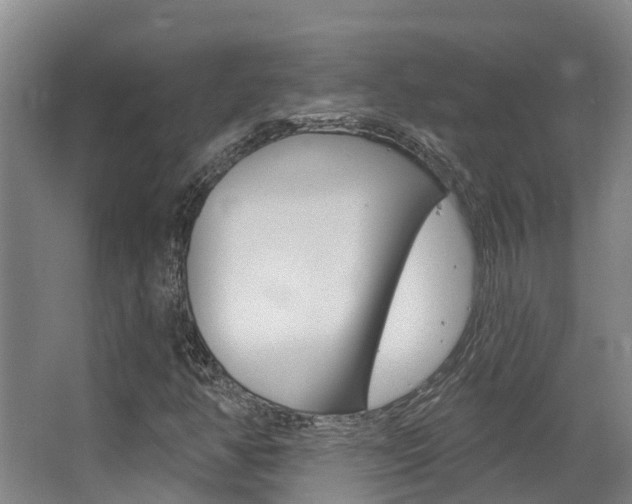 X0000063531350200601201141