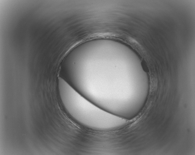 X0000063531361200601201140