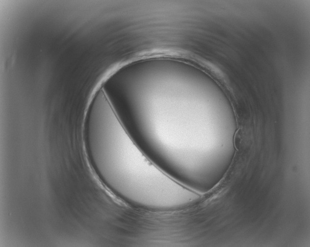 X0000063531373200601201140