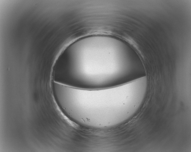 X0000063531379200601201140