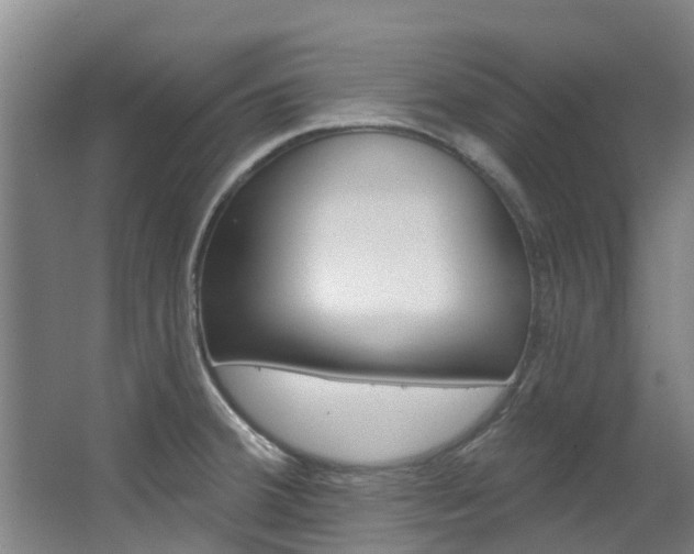 X0000063531380200601201140