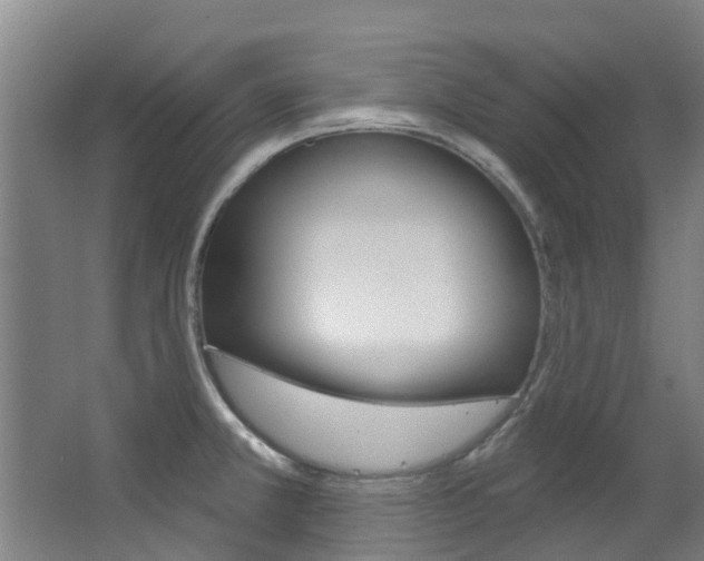 X0000063531381200601201140
