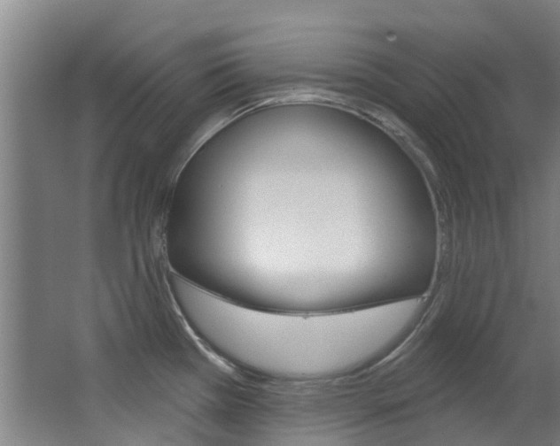X0000063531385200601201140